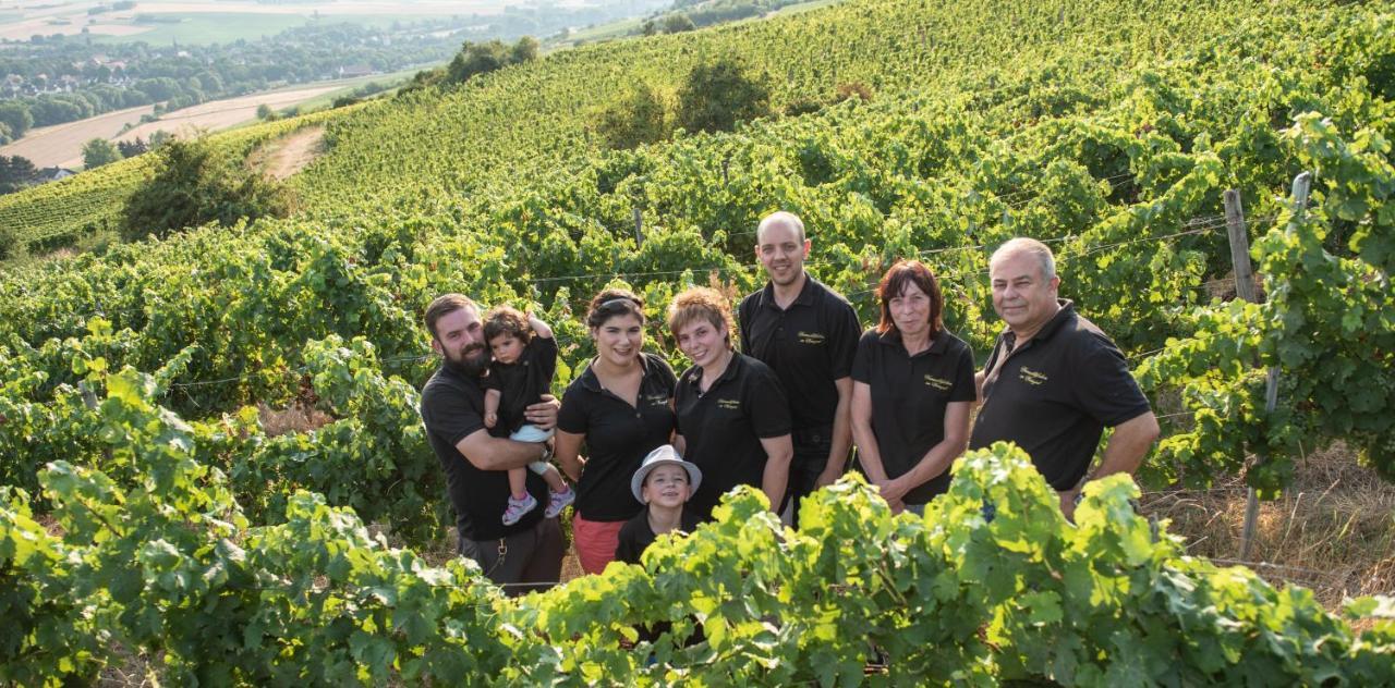 Weinschloesschen Im Weingut Roos Hotel Ilbesheim Luaran gambar