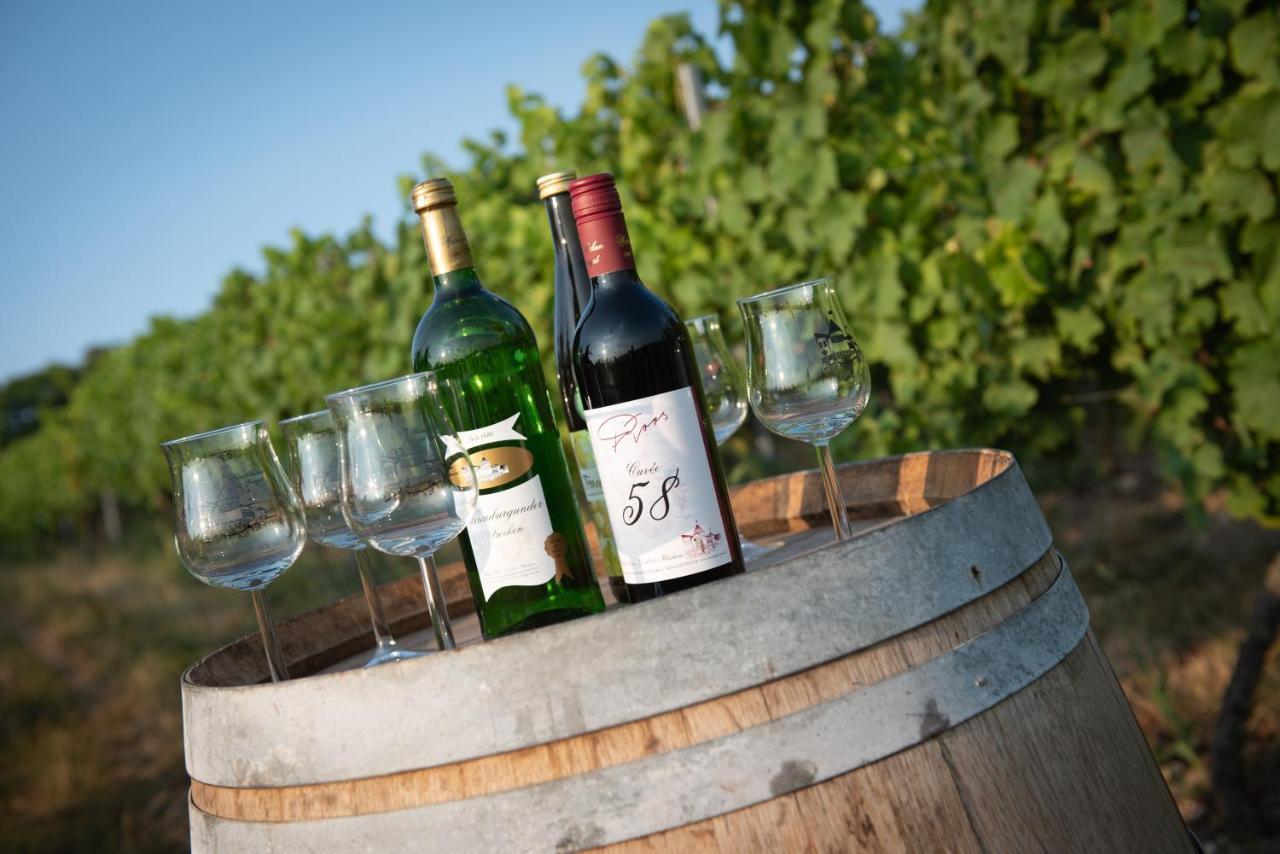 Weinschloesschen Im Weingut Roos Hotel Ilbesheim Luaran gambar